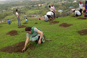 tree-plantation-drive-2016-17