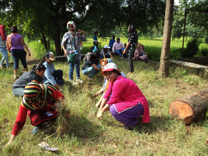 Community-Service-Shaantivan-(Nere)-2014-15 (7)