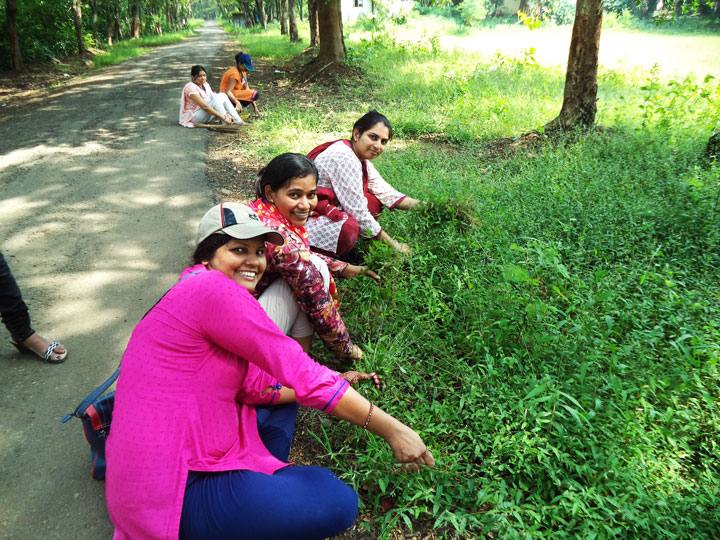 Community-Service-Shaantivan-(Nere)-2014-15 (9)