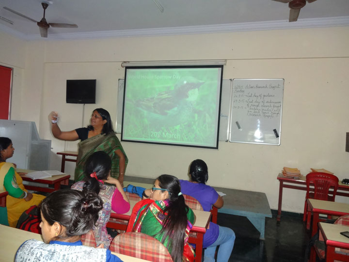 world-house-sparow-day-1