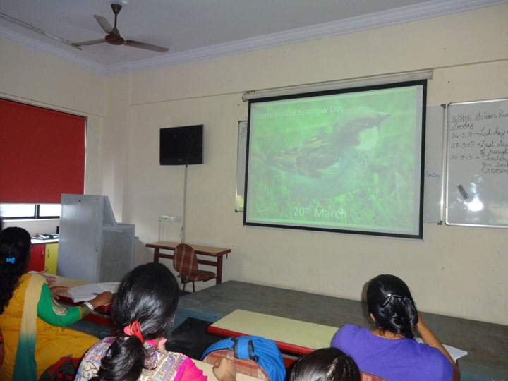 world-house-sparow-day-2