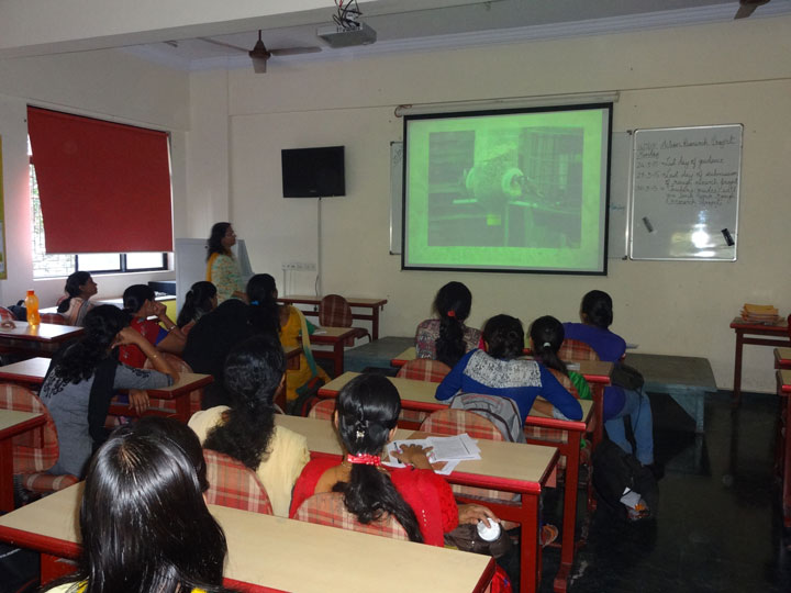 world-house-sparow-day-4