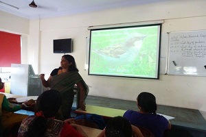 world-house-sparow-day