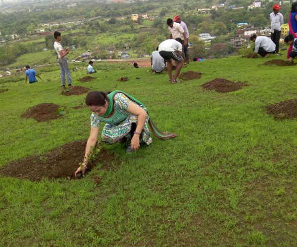 tree-plantation-drive-2016-17-3