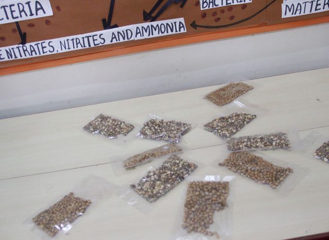 National-Level-Seminar-on-Environmental-Re-Engineering-Series-7-Year-of-Pulses-2016-17 (11)