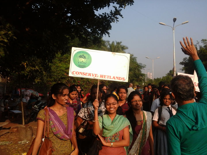 mangrove-management-1