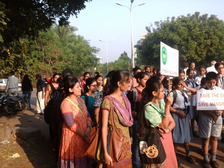 mangrove-management-2