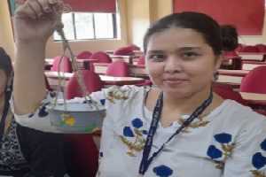 Compassion in Action Creative Bird Feeders for Sparrows