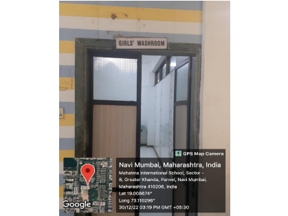 Toilets-for-girls (3)